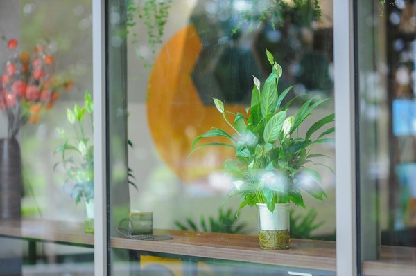 5 conseils pour gérer sa carrière en temps de Covid-19